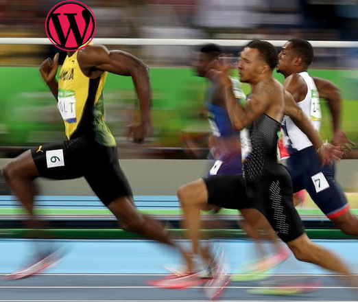 طراحی قالب وردپرس سریع